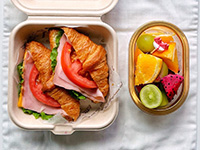 봄날의 피크닉 사진