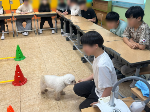 오감만족 진로직업체험 현장사진 1